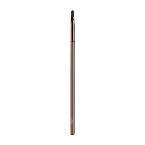 Lip Brush