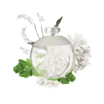 Cacharel NOA Eau De Toilette available at www.vitaltone.co.uk