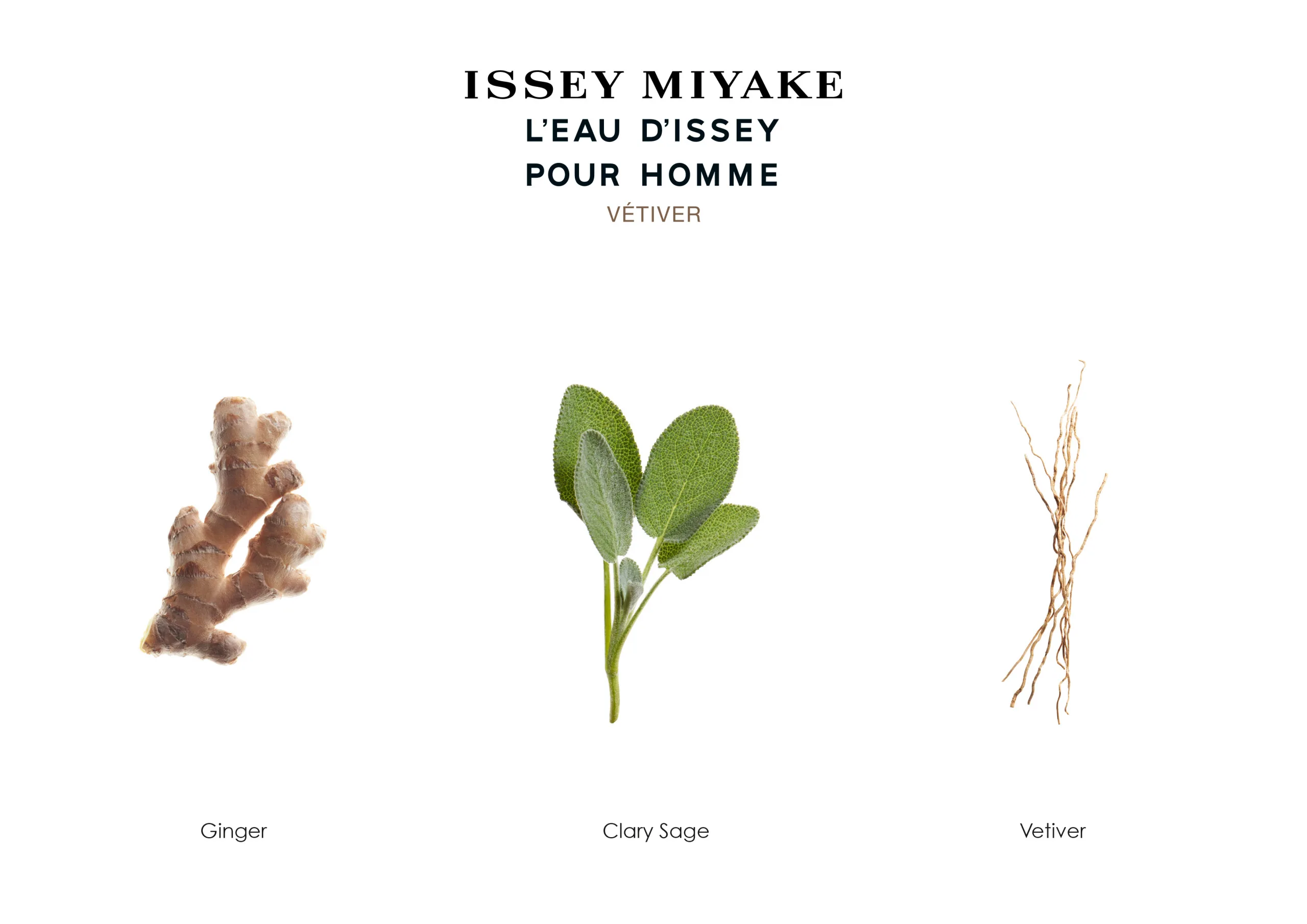 Issey Miyake L’eau D’issey Vetiver Pour Homme 50ml Giftset - Image 4