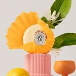 Roger & Gallet Bois Orange Soap 100g - Image 6