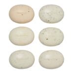 Bronnley 1884 - Herbarium Soaps (6x50g) - Image 4