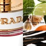 Prada Candy Kiss Eau De Parfum - Image 4